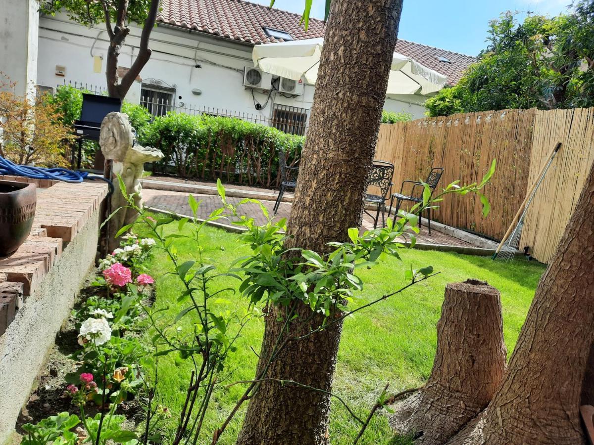House Garden San Lorenzo Σαλέρνο Εξωτερικό φωτογραφία